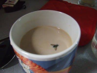 caffè con mosca