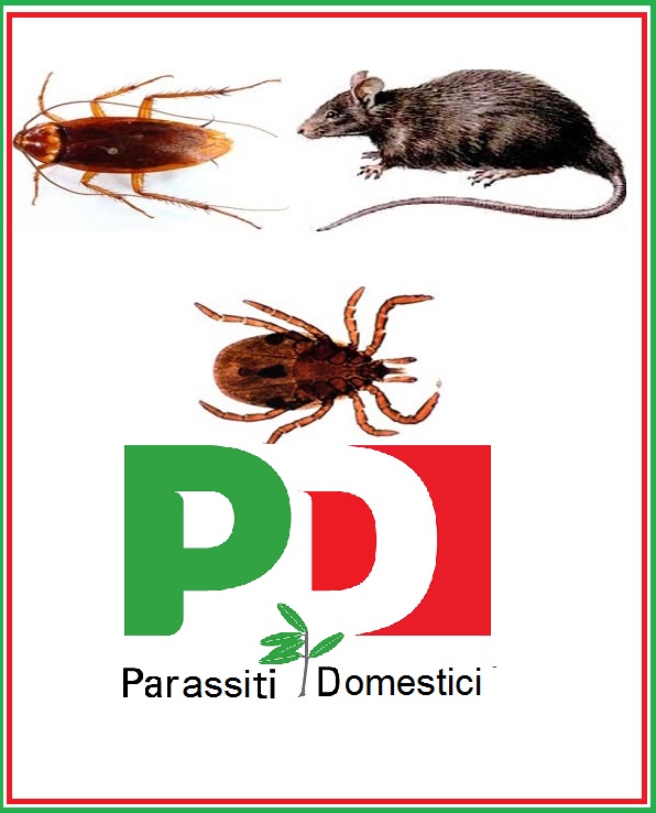 pd-topi-pidocchi-zecche-parassiti-domestici